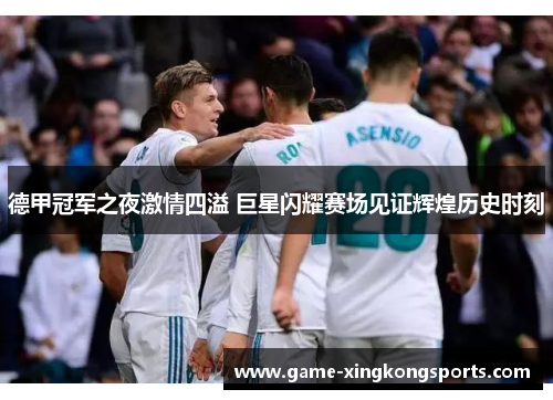 德甲冠军之夜激情四溢 巨星闪耀赛场见证辉煌历史时刻