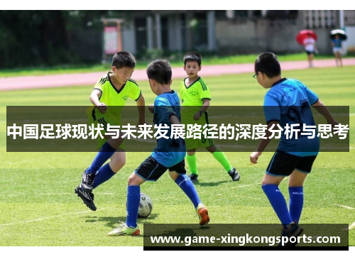 中国足球现状与未来发展路径的深度分析与思考