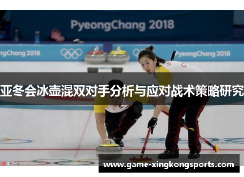 亚冬会冰壶混双对手分析与应对战术策略研究
